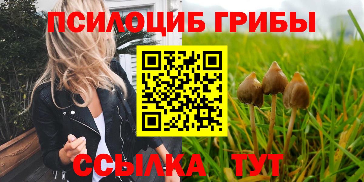Псилоцибиновые грибы Psilocybine cubensis Аксай